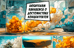 Почему стоит сделать выбор в пользу концентратов