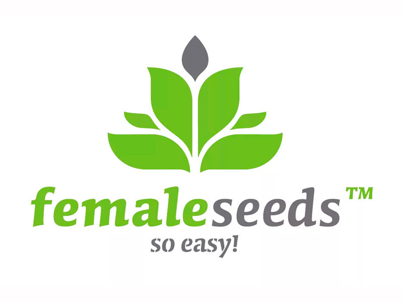 Female Seeds - семена конопли