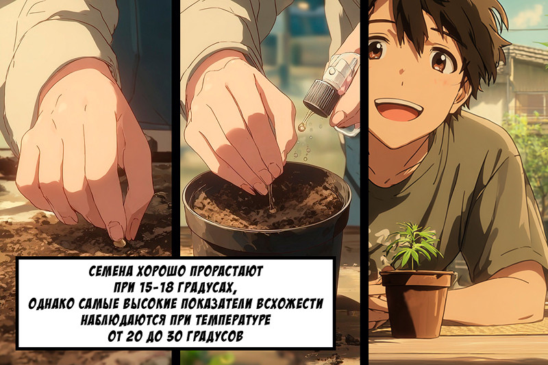 Какая температура нужна конопле на разных стадиях жизни?