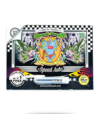 speed auto