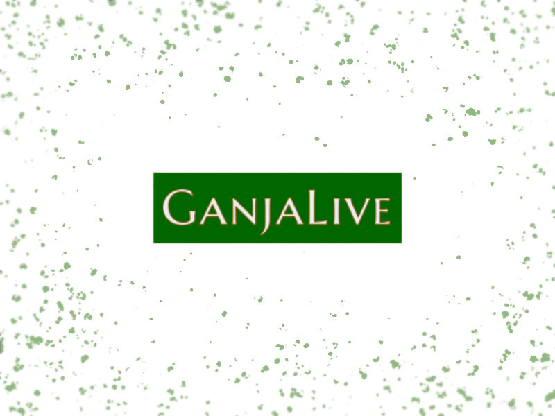 Ganjalive club